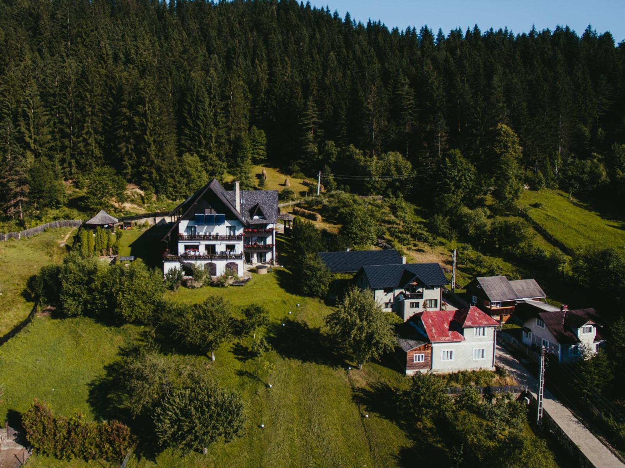Bucovina Lodge Pension Vama  Ngoại thất bức ảnh