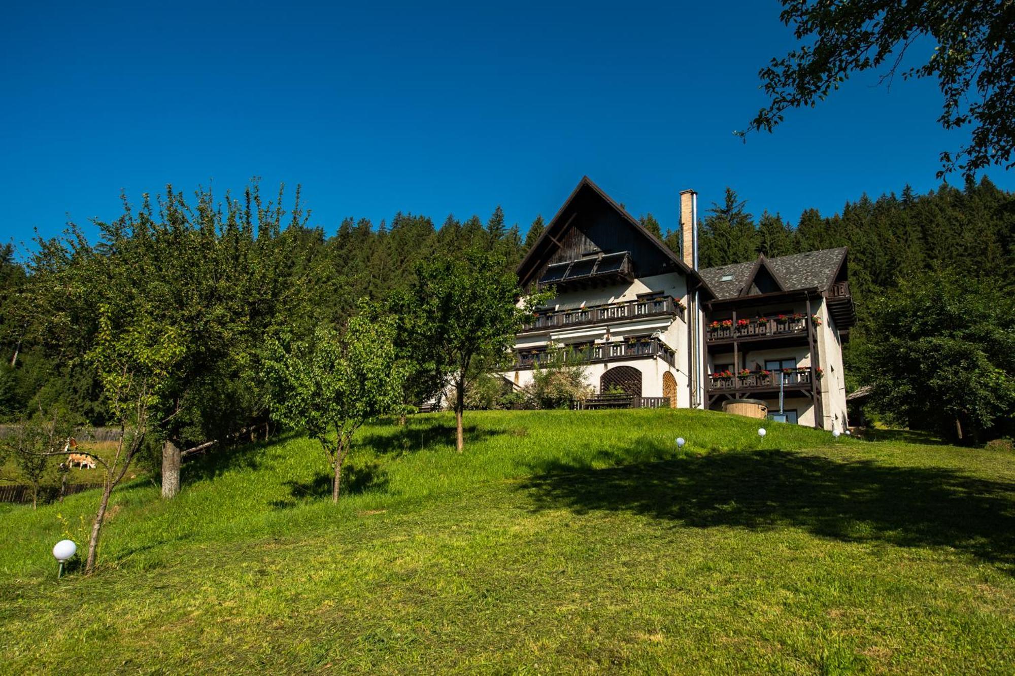 Bucovina Lodge Pension Vama  Ngoại thất bức ảnh