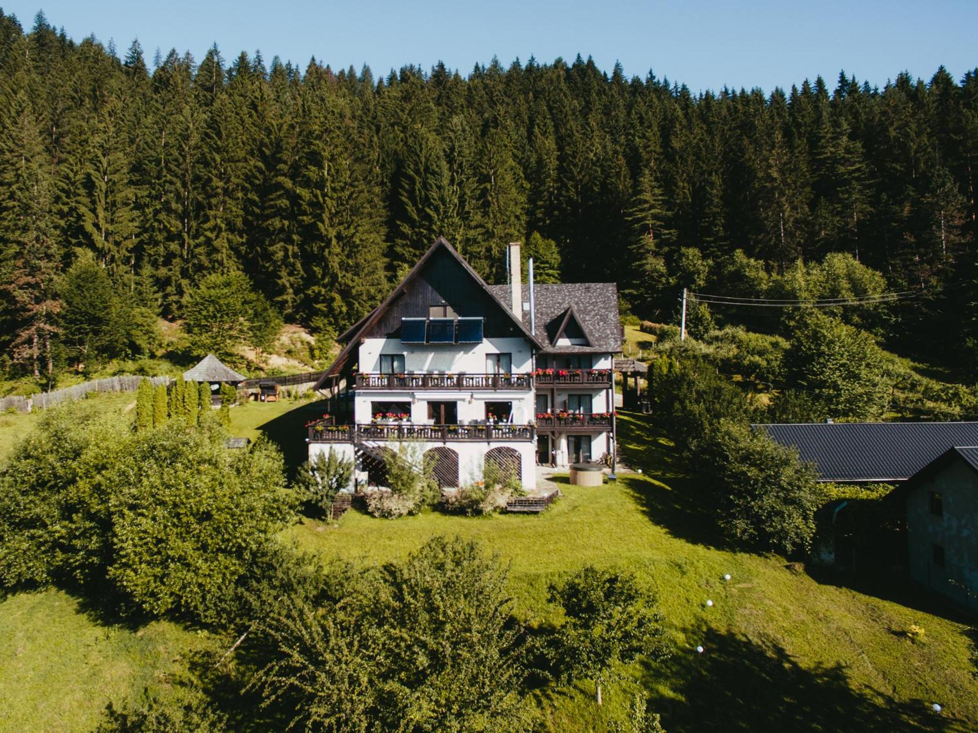 Bucovina Lodge Pension Vama  Ngoại thất bức ảnh
